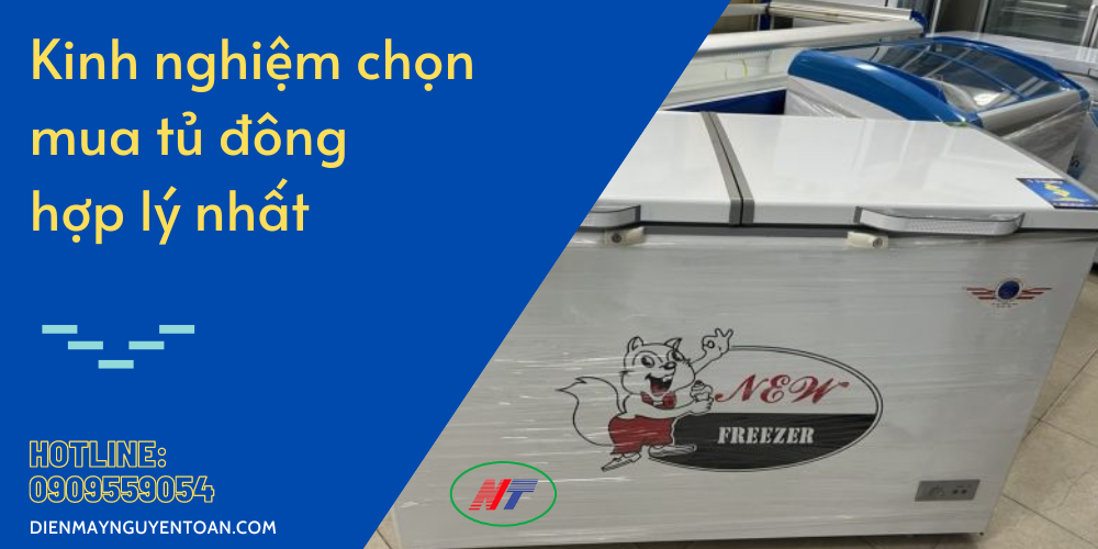 kinh nghiệm chọn mua tủ đông