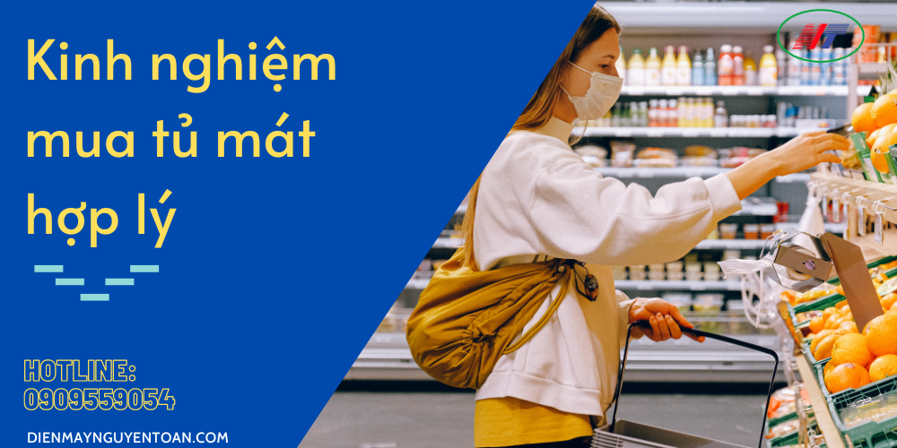 kinh nghiệm mua tủ mát