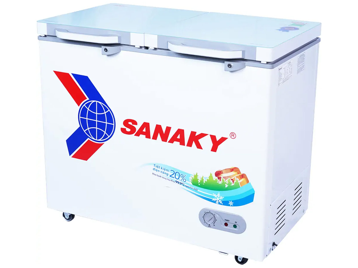 tủ đông sanaky 