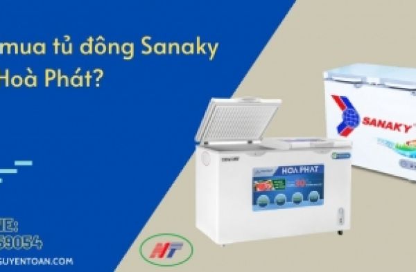 Nên mua tủ đông Sanaky hay Hoà Phát