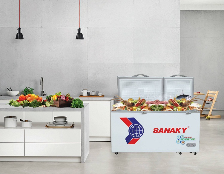 tủ đông Sanaky
